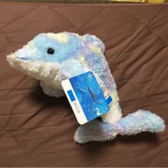 イルカのサムネイル