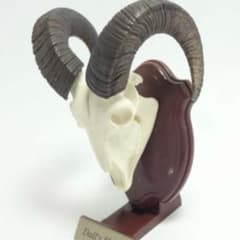 未開封　ハンティングトロフィー　マグネット　ドールシープ　シークレット スカル