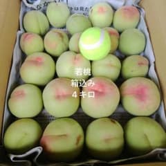 加工用若桃　箱込み12kg➕1kg 若桃箱込み4キロ - メルカリ