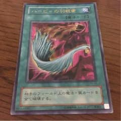 ハーピィの羽根箒のサムネイル