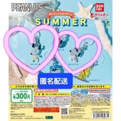 PEANUTS めじるしアクセサリー SUMMER スヌーピー 2種のサムネイル