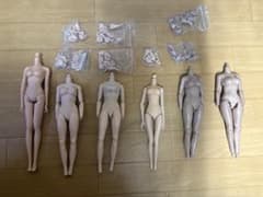 1/6 女性フィギュア素体 6体 ノーブランドのサムネイル
