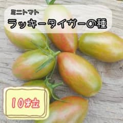 pomutaro0205 님 요청 2 점 정리 상품
