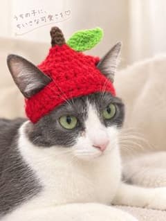 猫用りんご帽子 どんぐり帽子 編み物 ハンドメイド ねこのかぶりもの