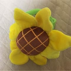 ひまわりのサムネイル