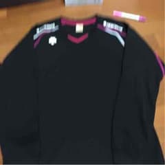 あやか様専用   Tシャツ(DESCENTE)のサムネイル