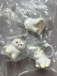 もっちりパピー シーズーのサムネイル