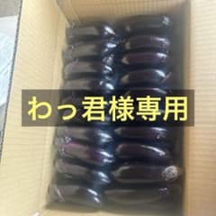 わっ君様専用のサムネイル