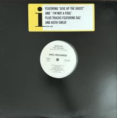 Immature The Journey 12インチ プロモ盤 レコードのサムネイル