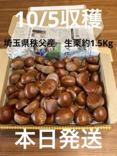 秩父産　生栗1.5Kgのサムネイル