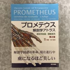 プロメテウス解剖学アトラス 解剖学総論/運動器系のサムネイル