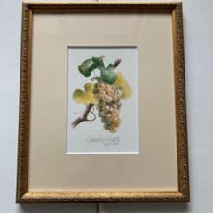 玉村豊男 シャルドネ絵画43/120 - メルカリ