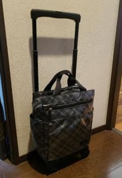 スワニーキャリーバッグ　ウォーキングバッグ　SWANYのサムネイル