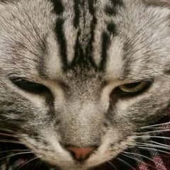 ★いとうさま専用★のサムネイル