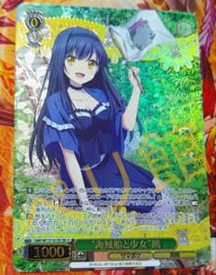 WS ヴァイスシュヴァルツ 海賊船と少女 鴎 SR 星3 - メルカリ