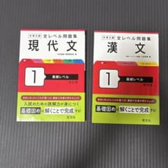 大学入試 全レベル問題集 現代文1 漢文1 2冊セット　「バラ売り場可能」のサムネイル