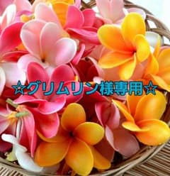 ☆グリムリン様専用☆のサムネイル