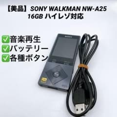 【未使用級】SONY WALKMAN NW-A25 ハイレゾ Bluetooth Sony Walkman NW-A25 16G Hi-Res Portable Audio Player Blue A series