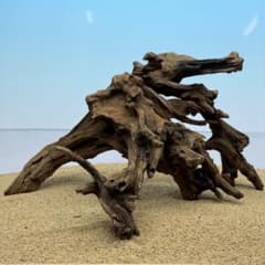 MSRW-7863 天然流木1点物 スリムウッド アクアリウム - メルカリ