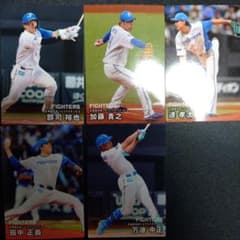 プロ野球チップス 2026 北海道日本ハムファイターズ 5枚セット - メルカリ