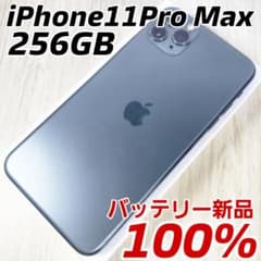 iPhone 11 Pro Max 256GB SIM 프리 신품 배터리
