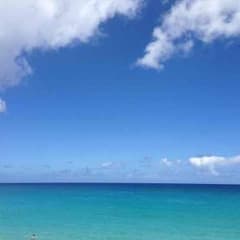 専用のサムネイル