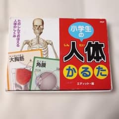 小学生の人体かるたのサムネイル