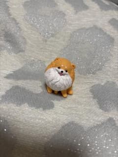 おすわり〜ぬ ぽめ〜ぬのサムネイル