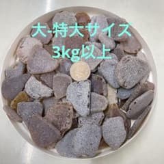 【大量】天然シーグラス 大-特大サイズ3kg以上のサムネイル