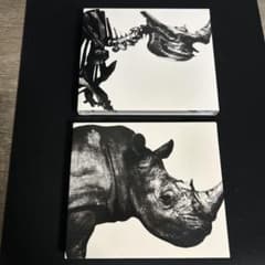 Mr.Children ベストアルバム 1992-1995 1996-2000のサムネイル