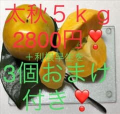サクッと食感の甘い太秋❣️にオマケの甘い刀根早生柿付き❣️計５ｋｇのサムネイル
