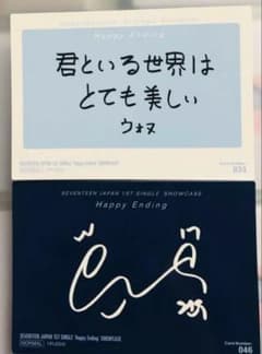 公式】ウォヌ トレカ Happy Ending seventeen セブチ - メルカリ