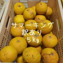【メル66887】82愛媛県産 ブラッドオレンジ ５㎏、サマーキング５kg さとさと様】28愛媛県産 サマーキング 訳あり＆ブラッドオレンジ 訳