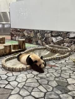 ゆん様専用のサムネイル