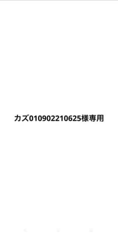 カズ010902210625様専用のサムネイル
