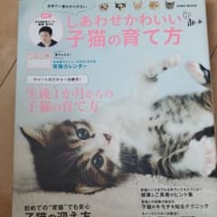しあわせかわいい子猫の育て方のサムネイル