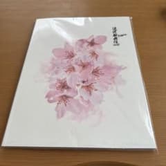 滝沢歌舞伎FINAL ZERO パンフレットのサムネイル