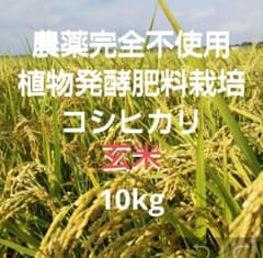農薬完全不使用/植物発酵肥料コシヒカリ 玄米10kg - メルカリ