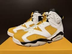 Air Jordan 6 Retro CT8529-170 28cmのサムネイル