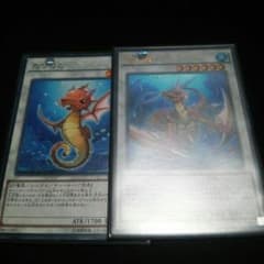 たつのこ1枚 コーラルドラゴン1枚のサムネイル