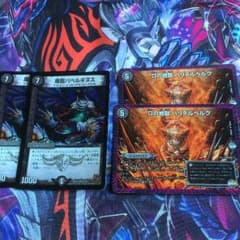 バベルギヌス ハリデルベルグのサムネイル