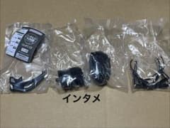 いきもの大図鑑 インターメディアツヤクワガタのサムネイル