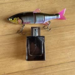 ダウズスイマー180SFのサムネイル