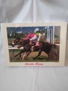 ナリタブライアン　パズル　競馬　ウマ娘のサムネイル