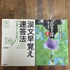 大学受験 古文 漢文 参考書 4冊セット - メルカリ
