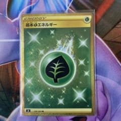 基本草エネルギーURのサムネイル