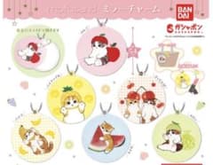 猫ミラー　ガチャガチャのサムネイル