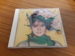 南野陽子/ガーランドのサムネイル