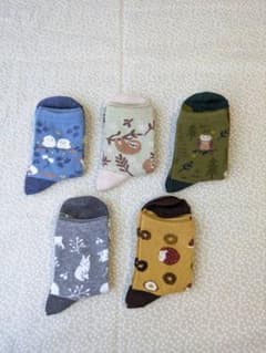 【紀子様専用】☆未使用☆レディース靴下5点セット☆かわいいアニマル柄（秋冬）のサムネイル
