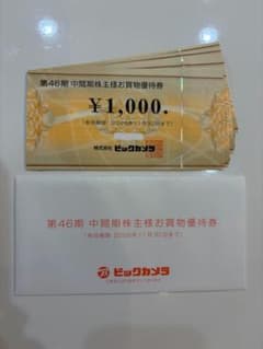ビックカメラ　コジマ　株主優待　お買物優待券　11,000円分のサムネイル
